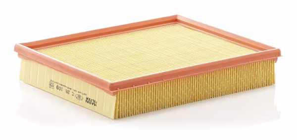 Filtro aria