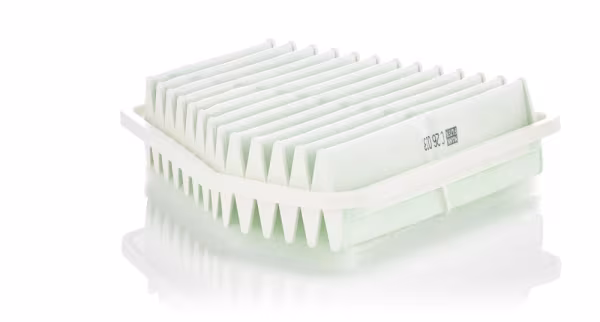 MANN-FILTER Filtro aria