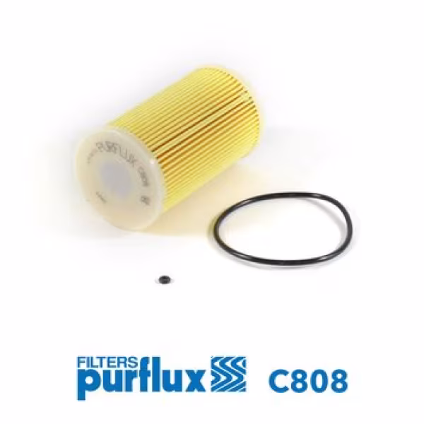 PURFLUX Filtro carburante