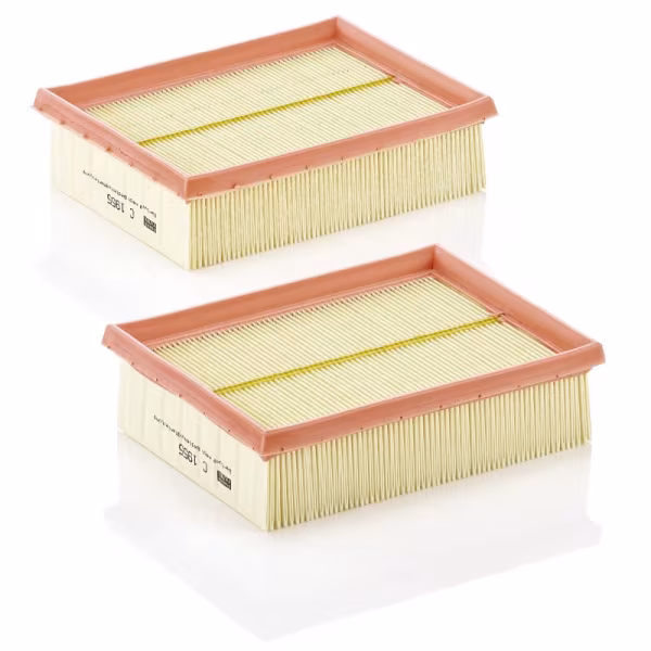 MANN-FILTER Filtro aria
