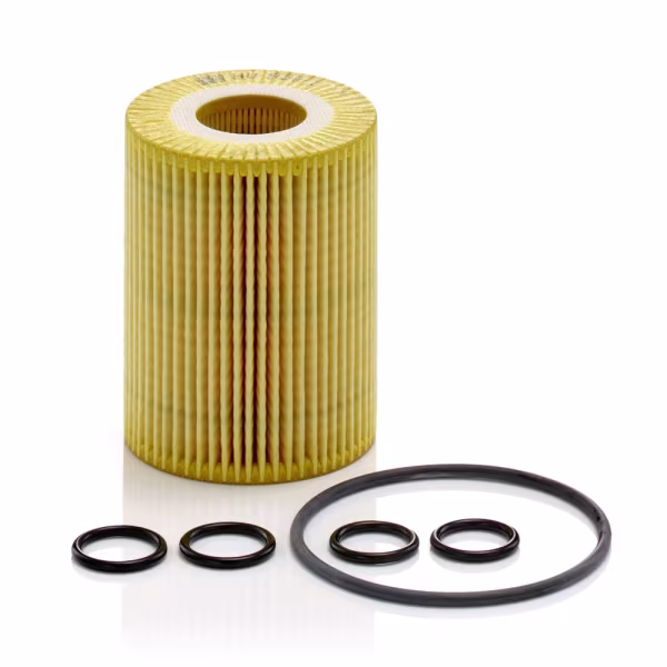 MANN-FILTER Filtro olio