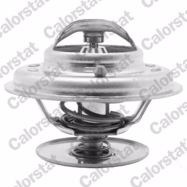 CALORSTAT by Vernet Termostato, refrigerante
