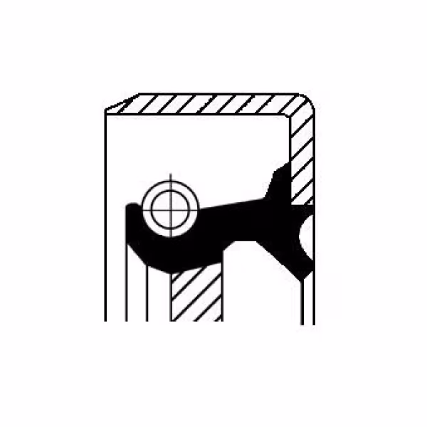 CORTECO Paraolio, albero primario (pompa olio)