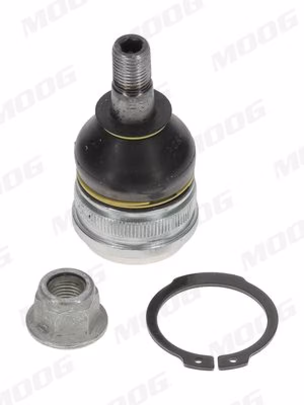 MOOG Giunto di supporto / guida