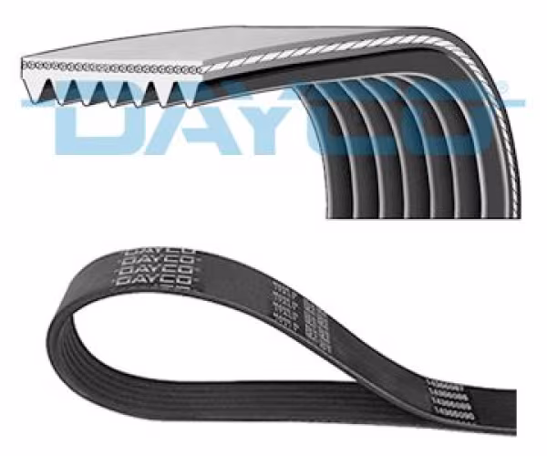 DAYCO Cinghia Poly-V