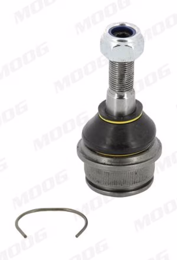 MOOG Giunto di supporto / guida