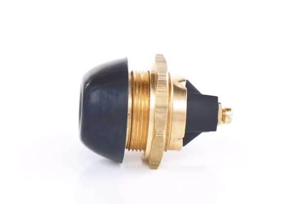 BOSCH Interruttore/Comando/Innesto