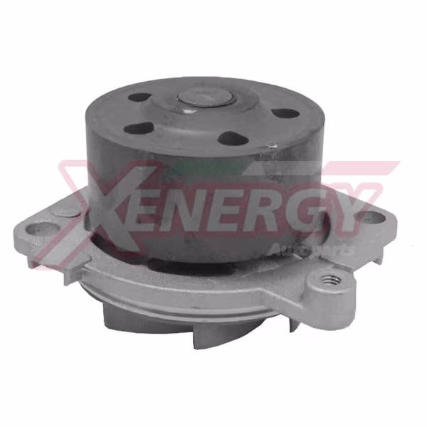 AP XENERGY Pompa dell’acqua, raffreddamento motore