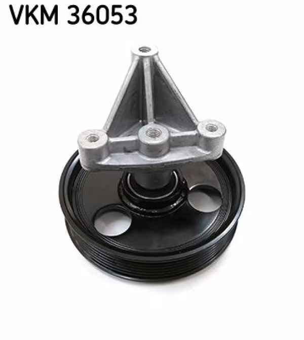 SKF Galoppino/Guidacinghia, Cinghia Poly-V