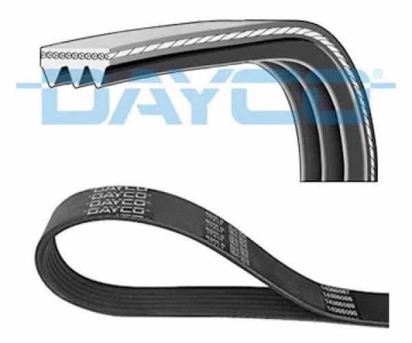 DAYCO Cinghia Poly-V