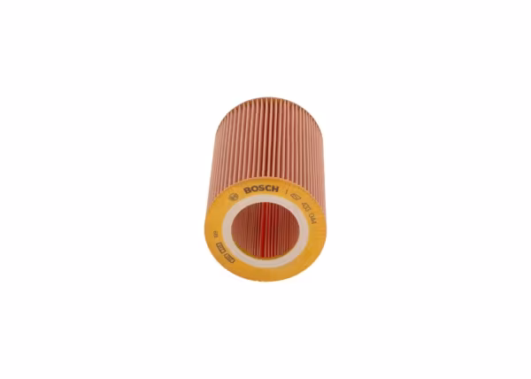 BOSCH Filtro aria