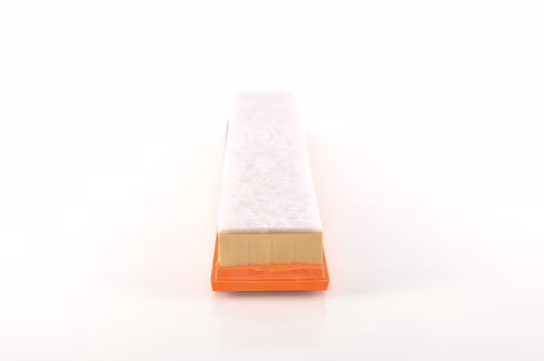 BOSCH Filtro aria