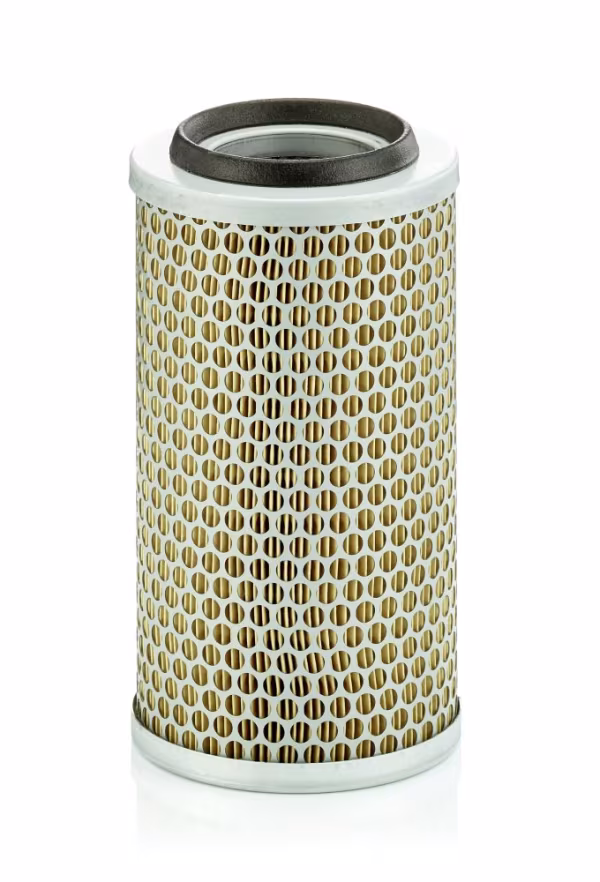 MANN-FILTER Filtro aria