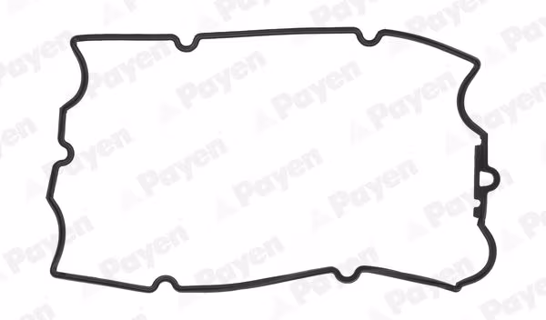 PAYEN Guarnizione, Copritestata