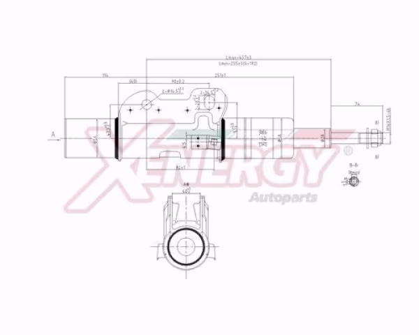 AP XENERGY Ammortizzatore