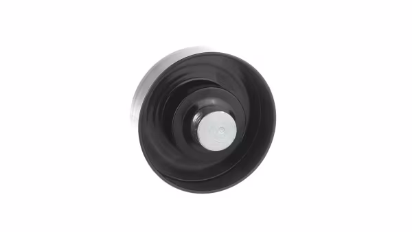 SKF Tendicinghia, Cinghia Poly-V