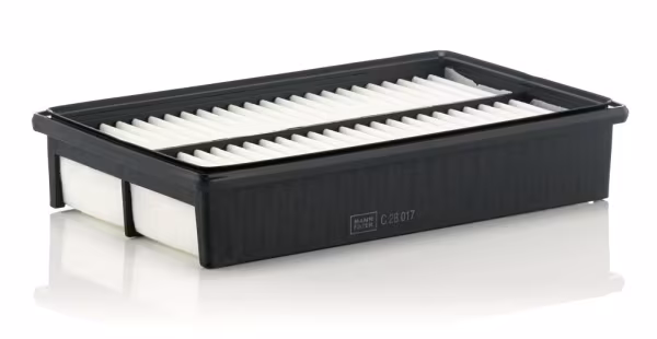 MANN-FILTER Filtro aria