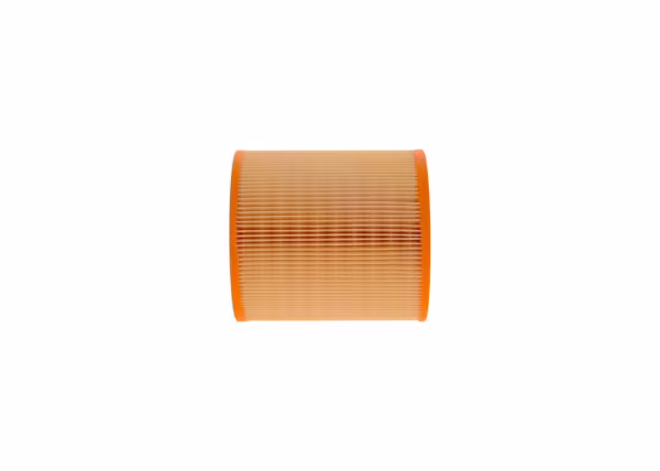 BOSCH Filtro aria