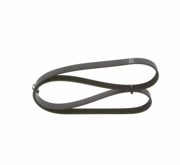 BOSCH Cinghia Poly-V