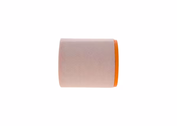 BOSCH Filtro aria