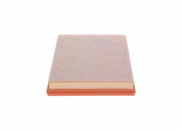 BOSCH Filtro aria