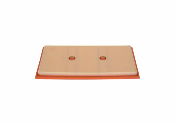 BOSCH Filtro aria