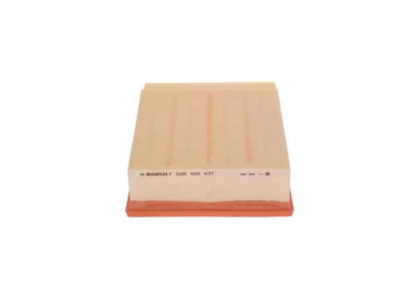 BOSCH Filtro aria