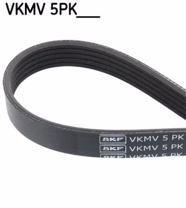 SKF Cinghia Poly-V