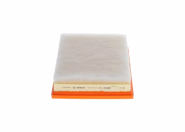 BOSCH Filtro aria