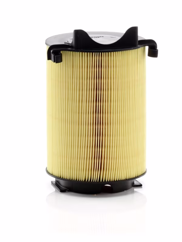 MANN-FILTER Filtro aria