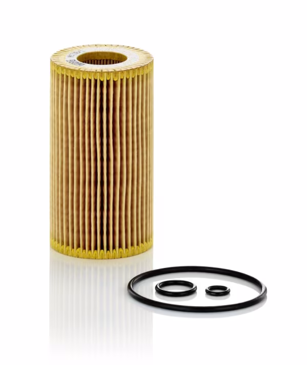 MANN-FILTER Filtro olio