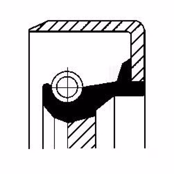 CORTECO Paraolio, Cambio manuale