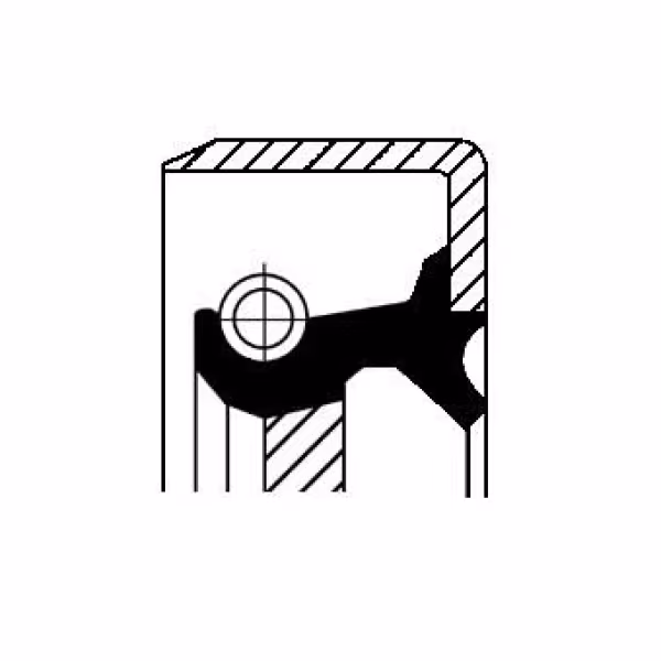 CORTECO Anello tenuta, Differenziale
