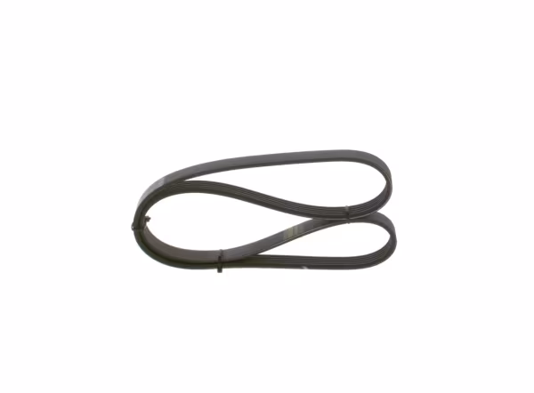 BOSCH Cinghia Poly-V