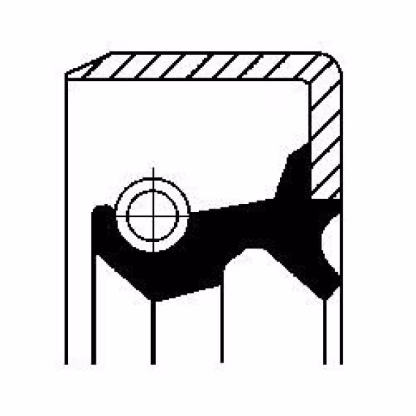 CORTECO Paraolio, mozzo ruota