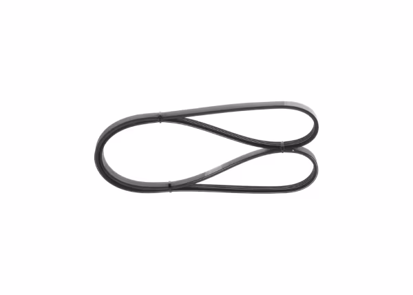 BOSCH Cinghia Poly-V