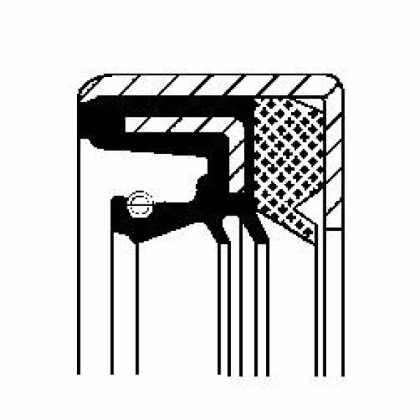 CORTECO Anello tenuta, Differenziale