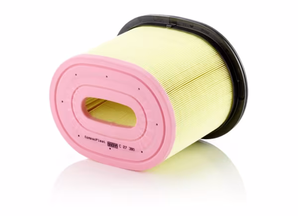 MANN-FILTER Filtro aria