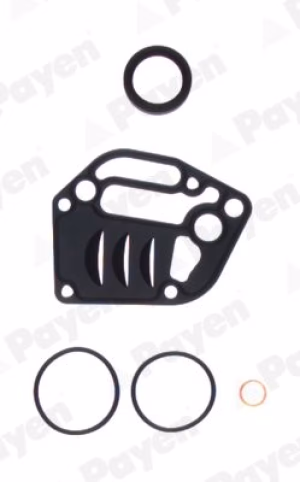 PAYEN Kit guarnizioni, Monoblocco