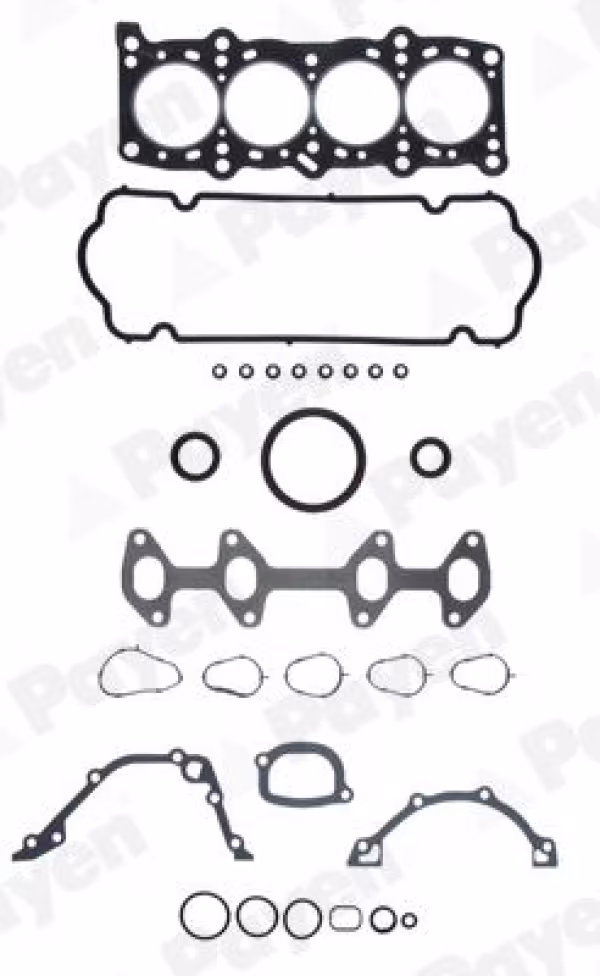 PAYEN Kit completo guarnizioni, Motore