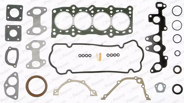 PAYEN Kit completo guarnizioni, Motore