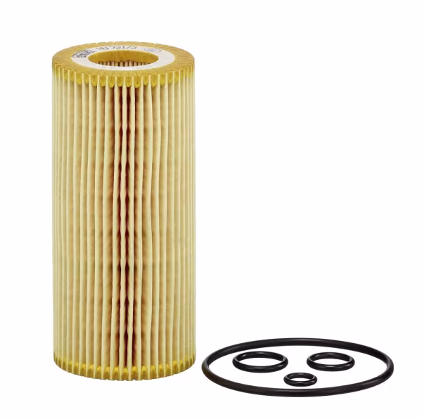 MANN-FILTER Filtro olio