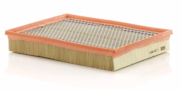 MANN-FILTER Filtro aria