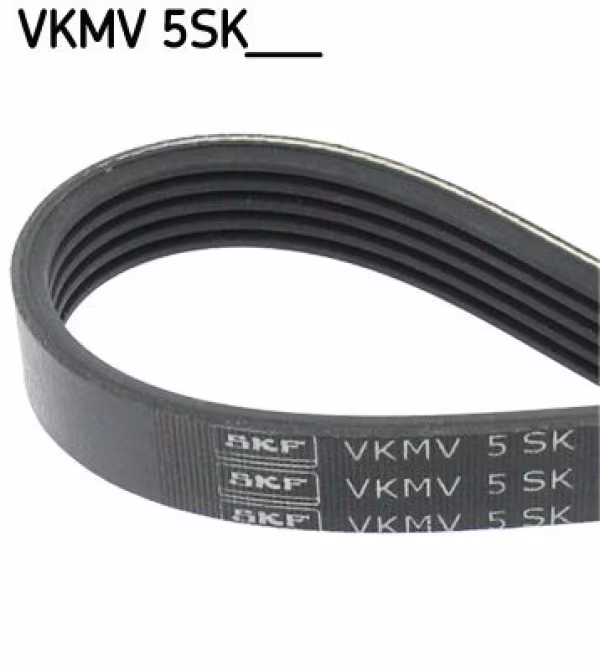 SKF Cinghia Poly-V