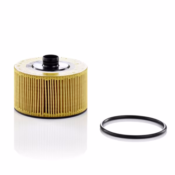 MANN-FILTER Filtro olio
