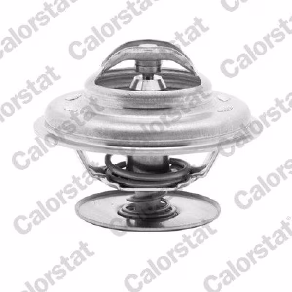 CALORSTAT by Vernet Termostato, refrigerante
