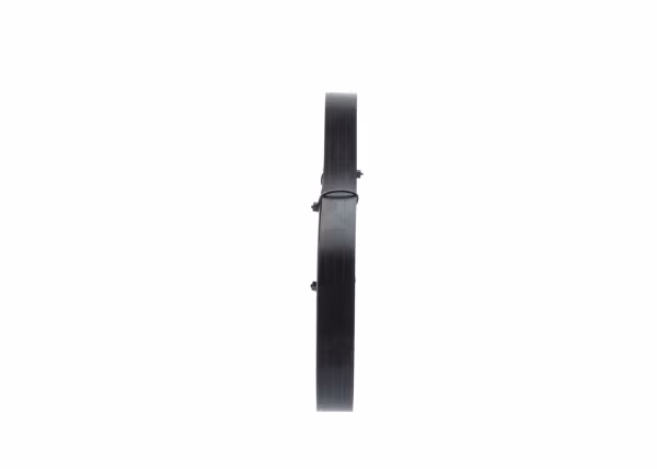 BOSCH Cinghia Poly-V