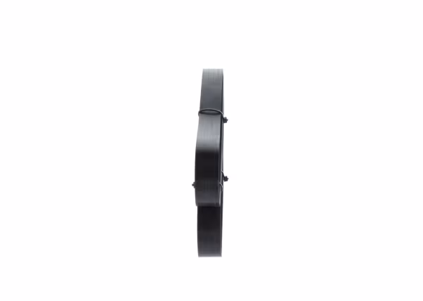 BOSCH Cinghia Poly-V