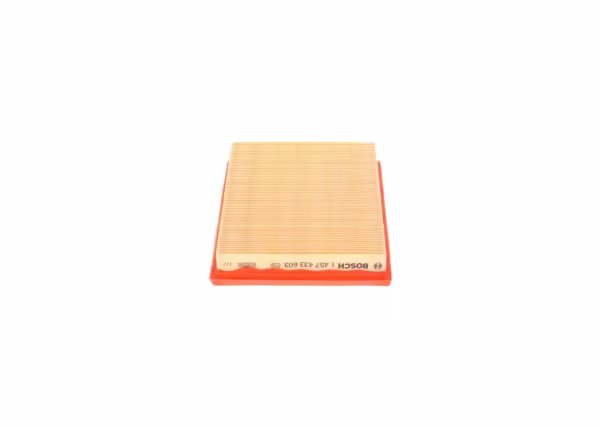 BOSCH Filtro aria