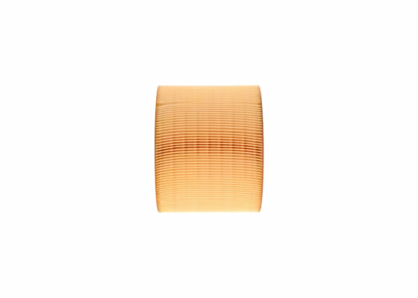 BOSCH Filtro aria